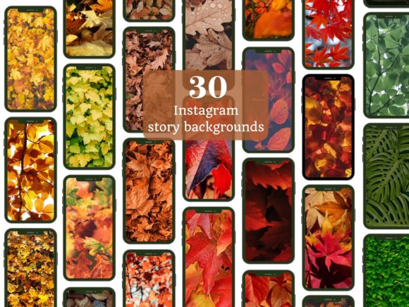 Download Autumn Leaves Instagram Story Background - Story Collection